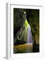 Tukad Cepung Waterfall in the central mountains of Bali, Indonesia.-Greg Johnston-Framed Photographic Print