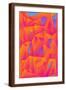 Brown Frame