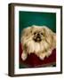 Tul-Ching of Alderbourne-null-Framed Premium Photographic Print