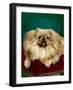 Tul-Ching of Alderbourne-null-Framed Premium Photographic Print