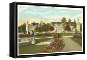 Tulane University, New Orleans, Louisiana-null-Framed Stretched Canvas