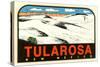 Tularosa Decal-null-Stretched Canvas