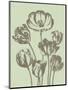 Tulip 11-Botanical Series-Mounted Art Print