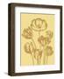 Tulip 19-Botanical Series-Framed Art Print