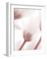 Tulip 1-Ann Bailey-Framed Art Print