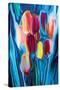 Tulip 2-Rabi Khan-Stretched Canvas