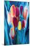 Tulip 2-Rabi Khan-Mounted Art Print