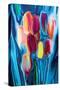 Tulip 2-Rabi Khan-Stretched Canvas