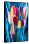 Tulip 2-Rabi Khan-Framed Stretched Canvas