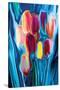 Tulip 2-Rabi Khan-Stretched Canvas