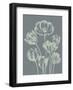 Tulip 7-Botanical Series-Framed Art Print