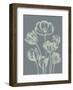 Tulip 7-Botanical Series-Framed Art Print