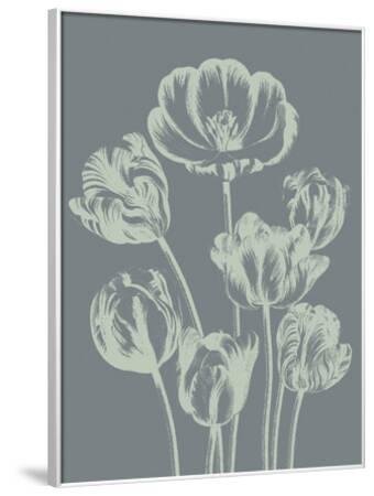 'Tulip 7' Prints - Botanical Series | AllPosters.com