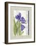 Tulip A-Maria Trad-Framed Giclee Print