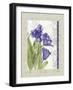 Tulip A-Maria Trad-Framed Giclee Print