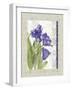 Tulip A-Maria Trad-Framed Giclee Print