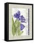 Tulip A-Maria Trad-Framed Stretched Canvas