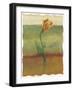 Tulip Abstract, no. 1-null-Framed Art Print