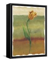 Tulip Abstract, no. 1-null-Framed Stretched Canvas