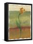 Tulip Abstract, no. 1-null-Framed Stretched Canvas