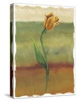 Tulip Abstract, no. 1-null-Stretched Canvas