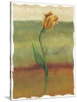 Tulip Abstract, no. 1-null-Stretched Canvas