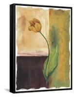 Tulip Abstract, no. 2-null-Framed Stretched Canvas