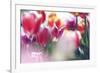 Tulip Abstraction (2)-Incredi-Framed Giclee Print