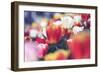 Tulip Abstraction (3)-Incredi-Framed Giclee Print