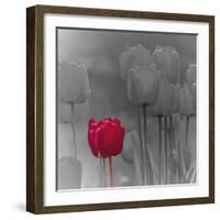 Tulip Accent I-Katja Marzahn-Framed Giclee Print