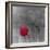 Tulip Accent I-Katja Marzahn-Framed Giclee Print