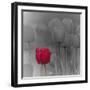 Tulip Accent I-Katja Marzahn-Framed Giclee Print