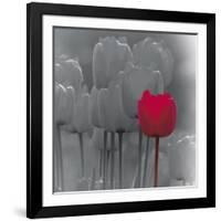 Tulip Accent II-Katja Marzahn-Framed Giclee Print