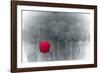 Tulip Accent-Katja Marzahn-Framed Giclee Print