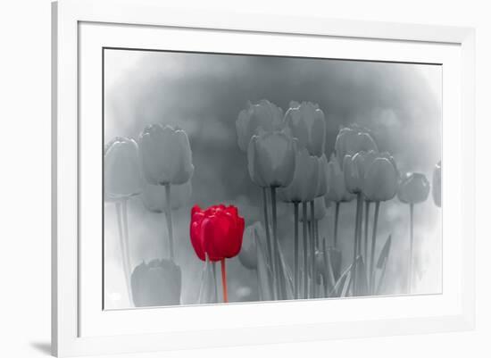 Tulip Accent-Katja Marzahn-Framed Giclee Print