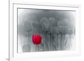 Tulip Accent-Katja Marzahn-Framed Giclee Print