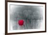 Tulip Accent-Katja Marzahn-Framed Giclee Print