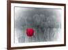 Tulip Accent-Katja Marzahn-Framed Giclee Print