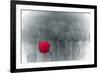 Tulip Accent-Katja Marzahn-Framed Giclee Print