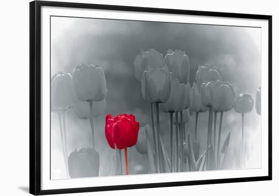 Tulip Accent-Katja Marzahn-Framed Giclee Print