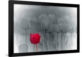 Tulip Accent-Katja Marzahn-Framed Giclee Print