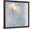 Tulip and Blue Tapestry I-Richard Sutton-Framed Premium Giclee Print