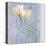 Tulip and Blue Tapestry I-Richard Sutton-Stretched Canvas