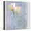 Tulip and Blue Tapestry I-Richard Sutton-Stretched Canvas