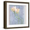 Tulip and Blue Tapestry I-Richard Sutton-Framed Art Print