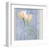 Tulip and Blue Tapestry I-Richard Sutton-Framed Art Print