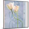 Tulip and Blue Tapestry I-Richard Sutton-Mounted Art Print