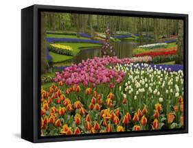 Tulip and Hyacinth Garden, Keukenhof Gardens, Lisse, Netherlands, Holland-Adam Jones-Framed Stretched Canvas