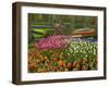 Tulip and Hyacinth Garden, Keukenhof Gardens, Lisse, Netherlands, Holland-Adam Jones-Framed Photographic Print