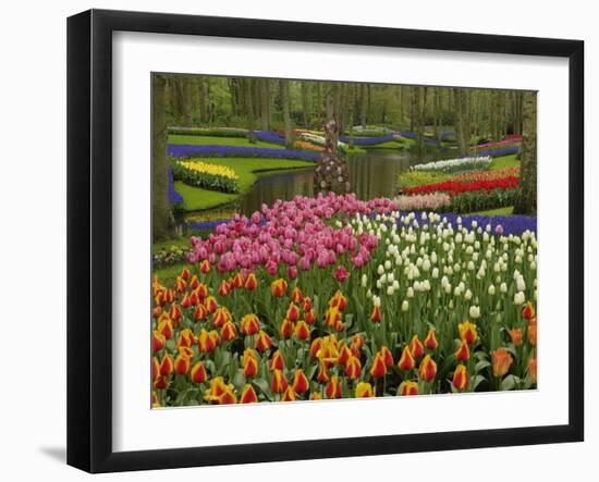 Tulip and Hyacinth Garden, Keukenhof Gardens, Lisse, Netherlands, Holland-Adam Jones-Framed Photographic Print